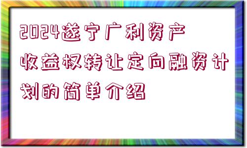 2024遂寧廣利資產(chǎn)收益權(quán)轉(zhuǎn)讓定向融資計(jì)劃的簡(jiǎn)單介紹