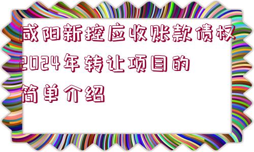 咸陽新控應(yīng)收賬款債權(quán)2024年轉(zhuǎn)讓項(xiàng)目的簡單介紹