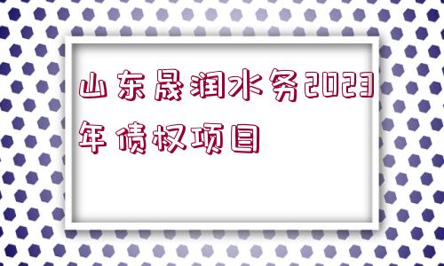 山東晟潤(rùn)水務(wù)2023年債權(quán)項(xiàng)目