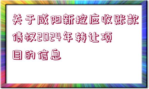 關于咸陽新控應收賬款債權2024年轉讓項目的信息