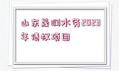 山東晟潤水務(wù)2023年債權(quán)項目