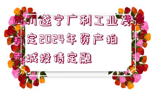 四川遂寧廣利工業(yè)發(fā)展特定2024年資產(chǎn)拍賣城投債定融