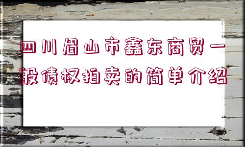 四川眉山市鑫東商貿(mào)一般債權拍賣的簡單介紹