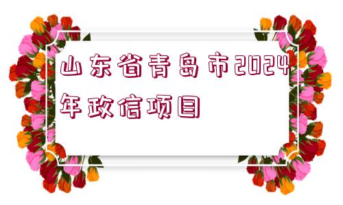 山東省青島市2024年政信項目