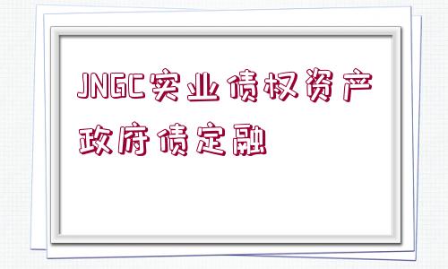 JNGC實業(yè)債權資產(chǎn)政府債定融