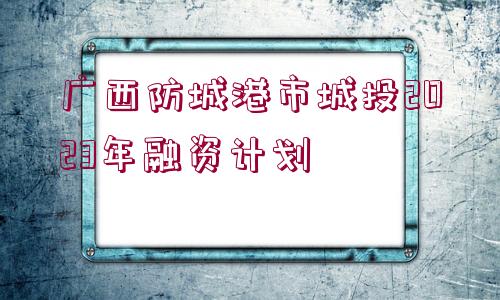 廣西防城港市城投2023年融資計(jì)劃