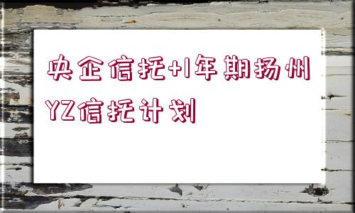 央企信托+1年期揚(yáng)州YZ信托計劃