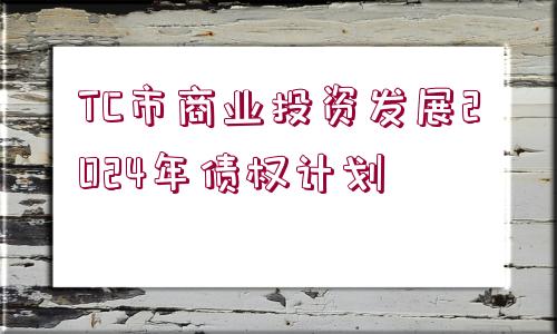 TC市商業(yè)投資發(fā)展2024年債權(quán)計劃