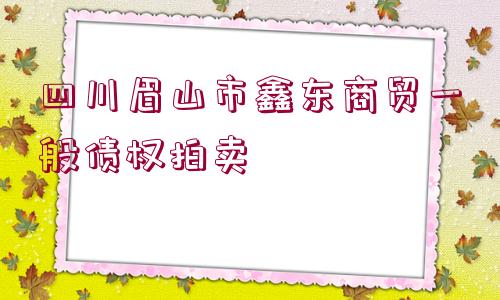 四川眉山市鑫東商貿(mào)一般債權(quán)拍賣