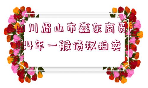 四川眉山市鑫東商貿(mào)2024年一般債權(quán)拍賣