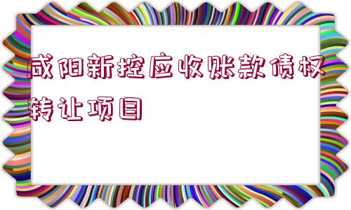 咸陽(yáng)新控應(yīng)收賬款債權(quán)轉(zhuǎn)讓項(xiàng)目