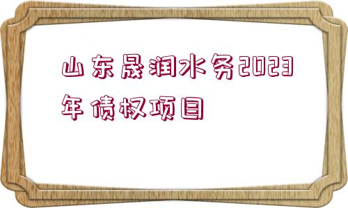 山東晟潤水務(wù)2023年債權(quán)項目