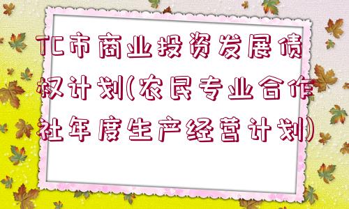 TC市商業(yè)投資發(fā)展債權(quán)計(jì)劃(農(nóng)民專業(yè)合作社年度生產(chǎn)經(jīng)營(yíng)計(jì)劃)