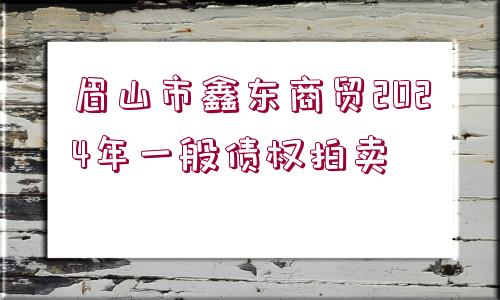 眉山市鑫東商貿(mào)2024年一般債權(quán)拍賣