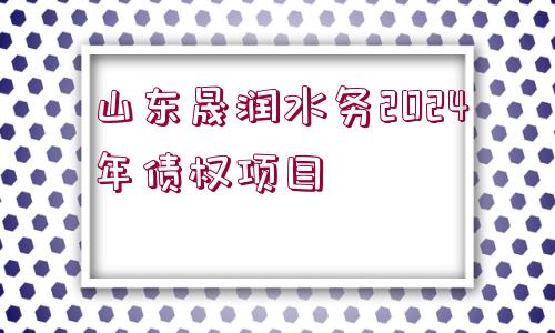 山東晟潤(rùn)水務(wù)2024年債權(quán)項(xiàng)目