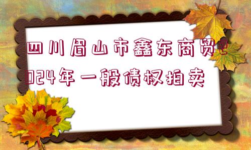 四川眉山市鑫東商貿2024年一般債權拍賣