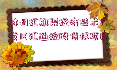 林州紅旗渠經(jīng)濟(jì)技術(shù)開發(fā)區(qū)匯通控股債權(quán)項(xiàng)目