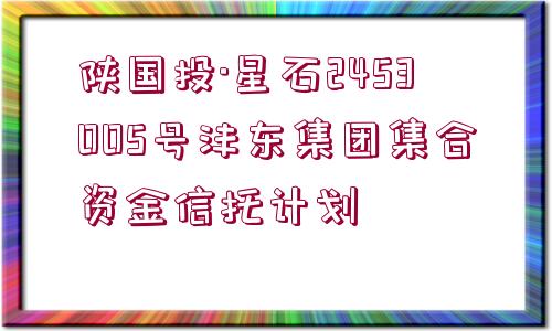 陜國(guó)投·星石2453005號(hào)灃東集團(tuán)集合資金信托計(jì)劃