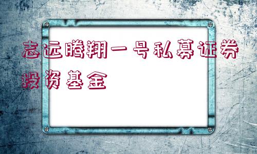 志遠(yuǎn)騰翔一號(hào)私募證券投資基金