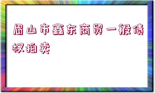 眉山市鑫東商貿(mào)一般債權(quán)拍賣(mài)