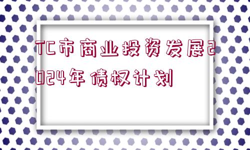 TC市商業(yè)投資發(fā)展2024年債權(quán)計(jì)劃