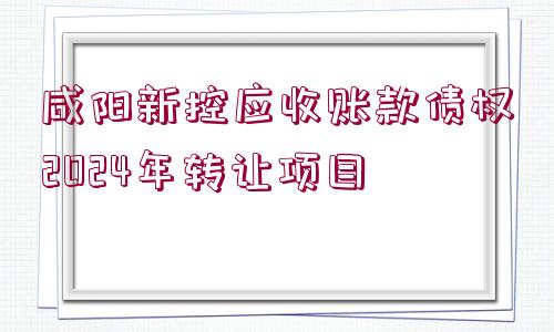 咸陽新控應(yīng)收賬款債權(quán)2024年轉(zhuǎn)讓項(xiàng)目