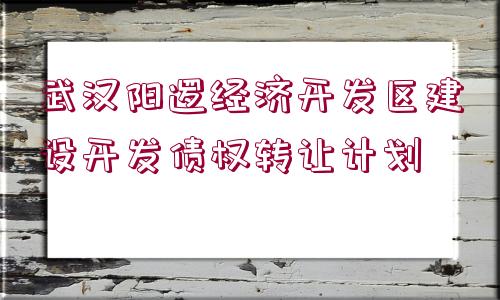 武漢陽邏經(jīng)濟開發(fā)區(qū)建設開發(fā)債權轉(zhuǎn)讓計劃