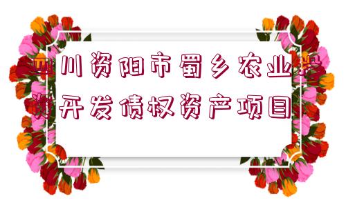 四川資陽市蜀鄉(xiāng)農(nóng)業(yè)投資開發(fā)債權資產(chǎn)項目