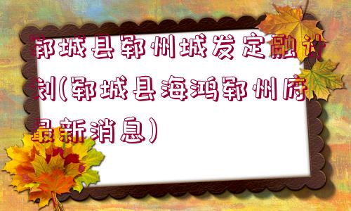 鄆城縣鄆州城發(fā)定融計劃(鄆城縣海鴻?quán)i州府最新消息)