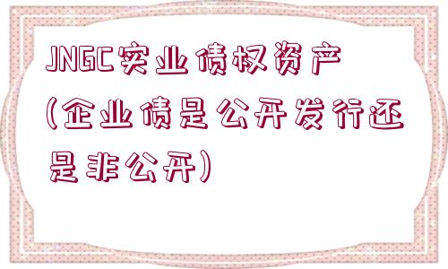 JNGC實(shí)業(yè)債權(quán)資產(chǎn)(企業(yè)債是公開(kāi)發(fā)行還是非公開(kāi))