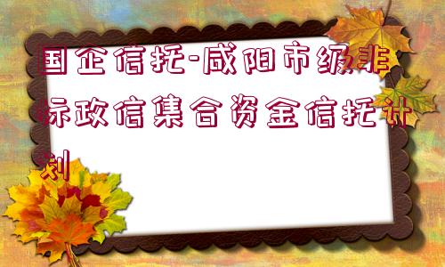 國企信托-咸陽市級(jí)非標(biāo)政信集合資金信托計(jì)劃