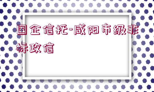 國企信托-咸陽市級非標政信