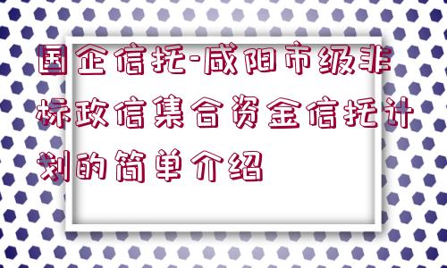 國企信托-咸陽市級非標政信集合資金信托計劃的簡單介紹