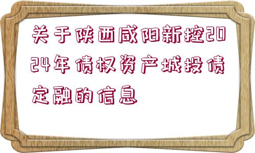 關(guān)于陜西咸陽(yáng)新控2024年債權(quán)資產(chǎn)城投債定融的信息