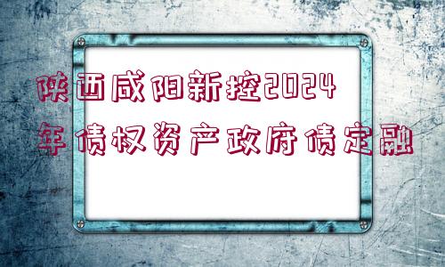 陜西咸陽新控2024年債權(quán)資產(chǎn)政府債定融