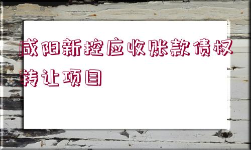 咸陽新控應收賬款債權(quán)轉(zhuǎn)讓項目