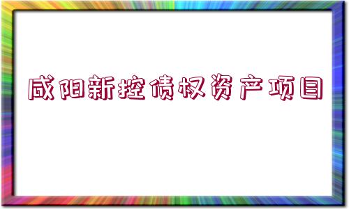 咸陽新控債權(quán)資產(chǎn)項目