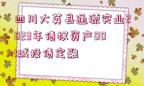 四川大英縣通源實業(yè)2023年債權(quán)資產(chǎn)001城投債定融