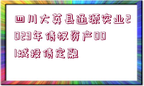 四川大英縣通源實(shí)業(yè)2023年債權(quán)資產(chǎn)001城投債定融