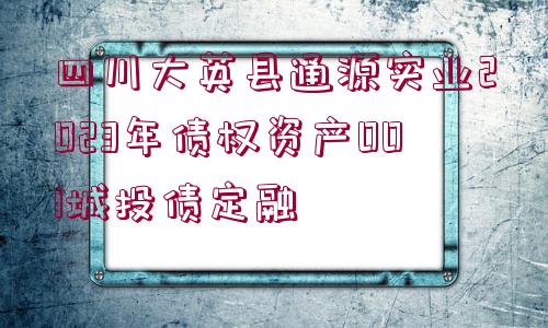 四川大英縣通源實(shí)業(yè)2023年債權(quán)資產(chǎn)001城投債定融