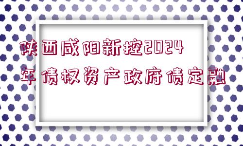 陜西咸陽新控2024年債權(quán)資產(chǎn)政府債定融