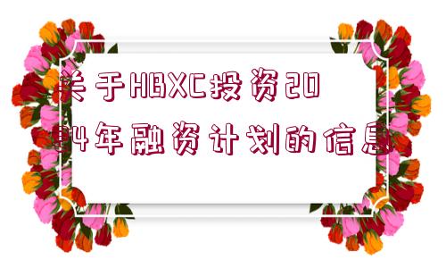 關(guān)于HBXC投資2024年融資計劃的信息