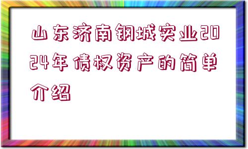 山東濟(jì)南鋼城實(shí)業(yè)2024年債權(quán)資產(chǎn)的簡單介紹