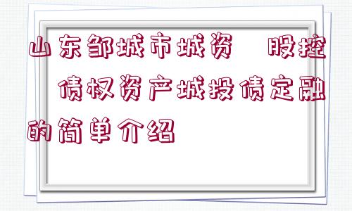 山東鄒城市城資?股控?債權資產城投債定融的簡單介紹