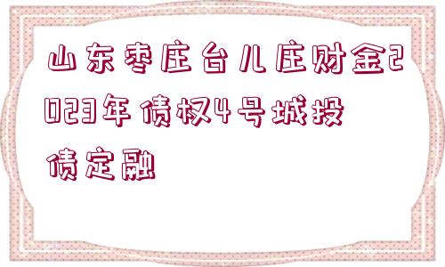 山東棗莊臺兒莊財金2023年債權(quán)4號城投債定融