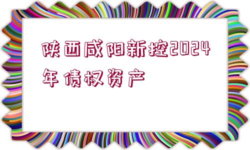 陜西咸陽新控2024年債權(quán)資產(chǎn)