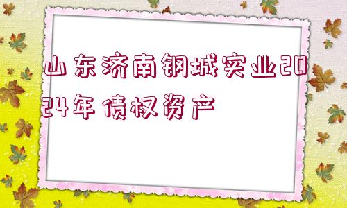 山東濟(jì)南鋼城實(shí)業(yè)2024年債權(quán)資產(chǎn)