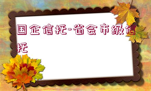 國(guó)企信托-省會(huì)市級(jí)信托