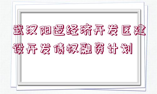 武漢陽邏經濟開發(fā)區(qū)建設開發(fā)債權融資計劃