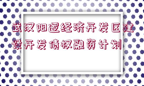 武漢陽邏經(jīng)濟開發(fā)區(qū)建設開發(fā)債權(quán)融資計劃